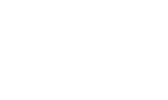 falcon